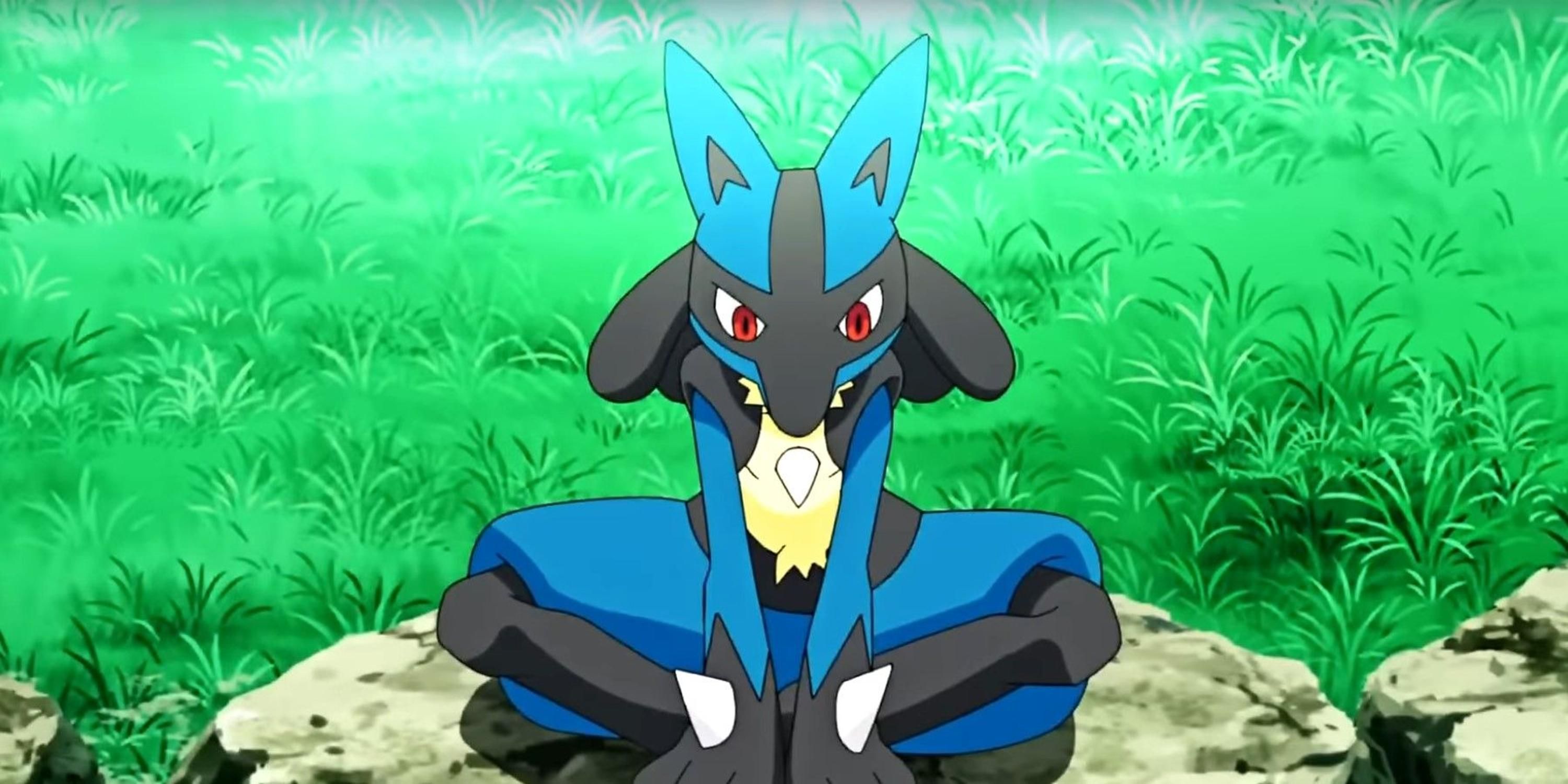 A Lucario sitting on a rock in Pokemon anime