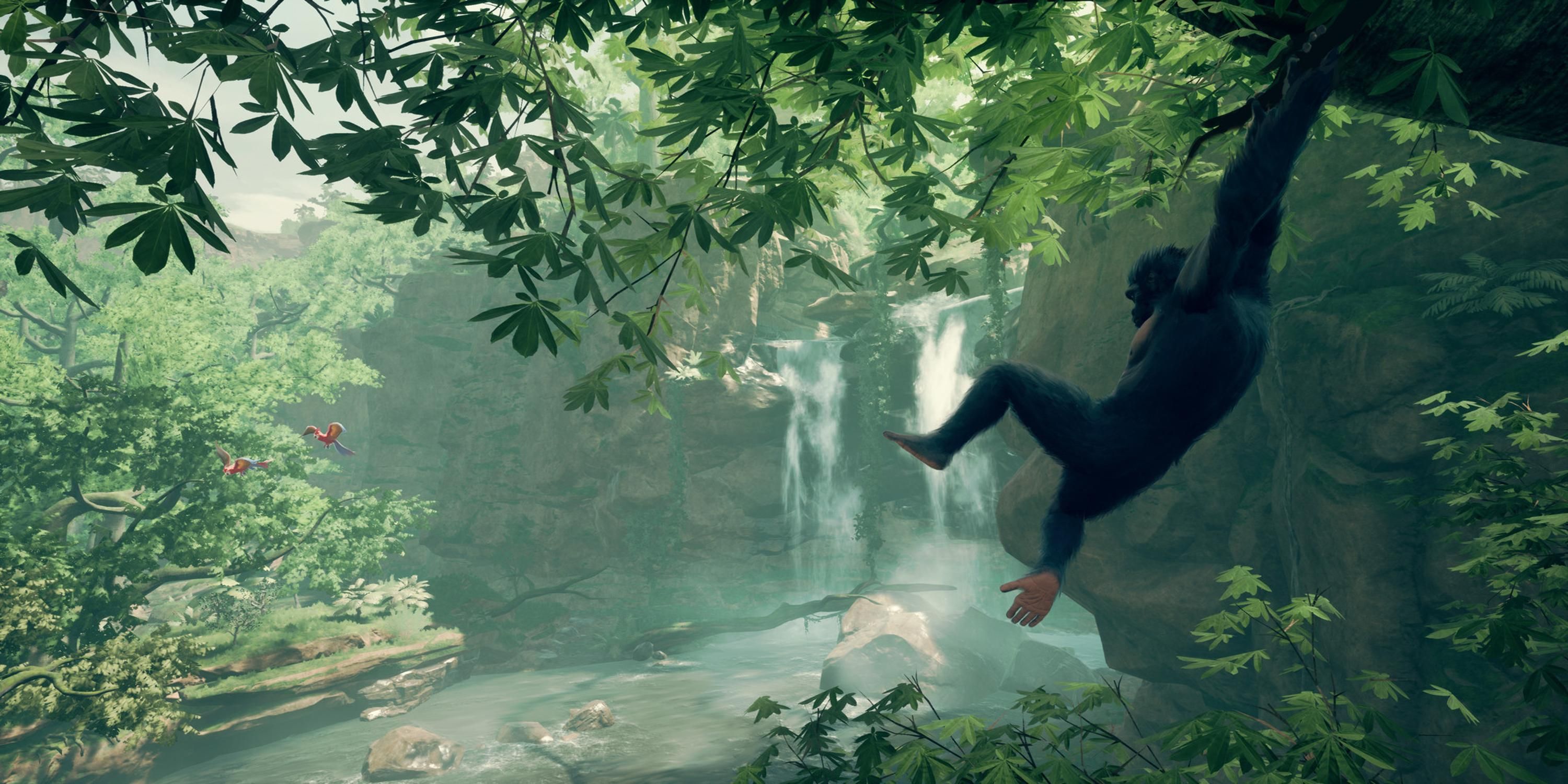 A monkey hanging by a tree in Ancestors The Humankind Odyssey