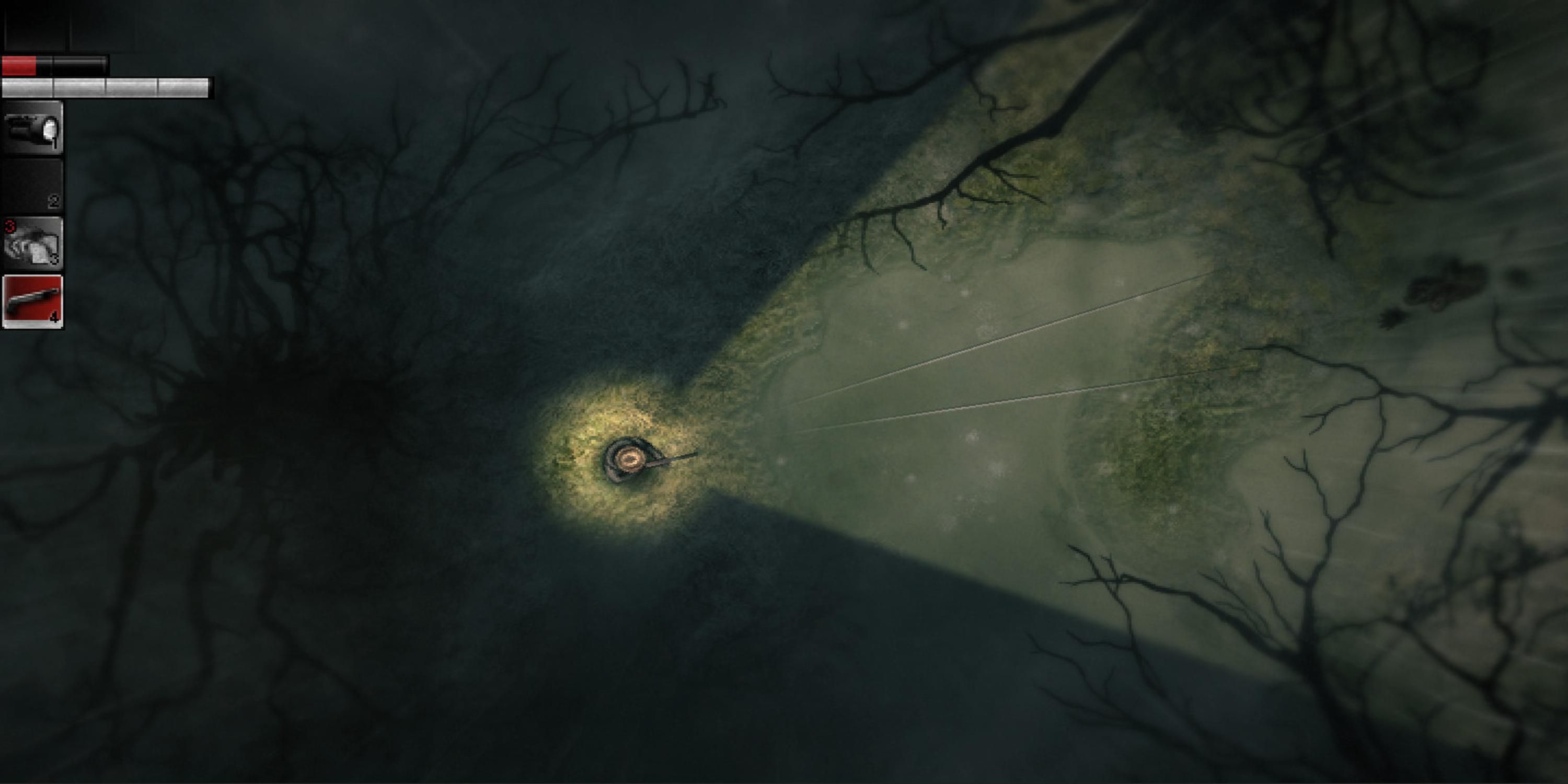 Exploring a forest in the dark in Darkwook