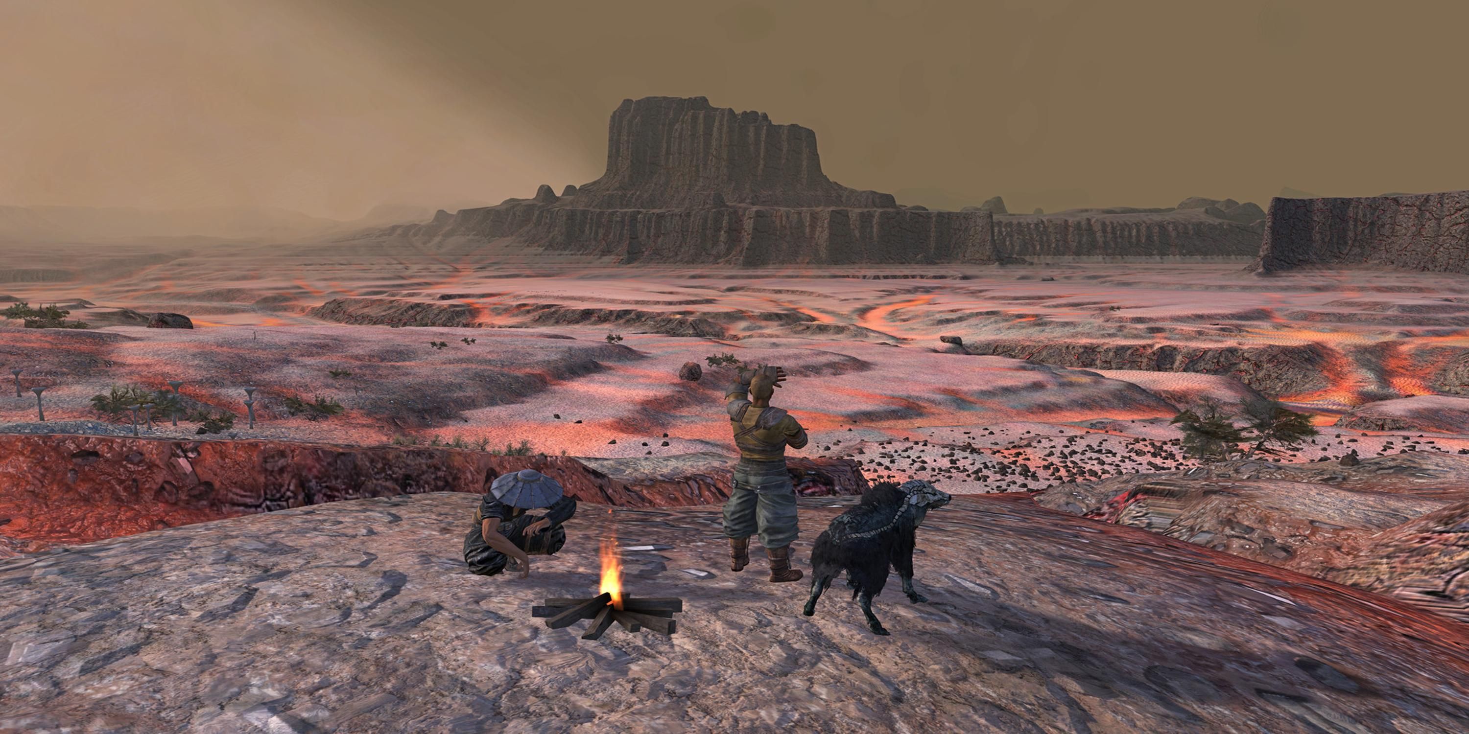 Player standin next to a campfire in Kenshi