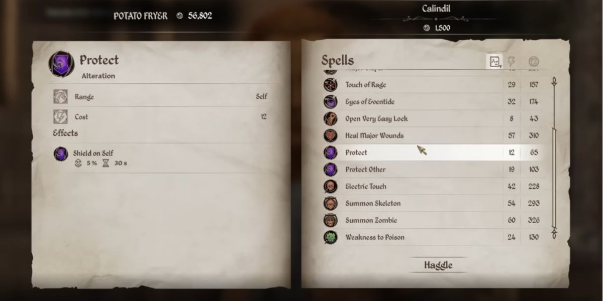 Protect Spell in The Elder Scrolls IV: Oblivion Remastered