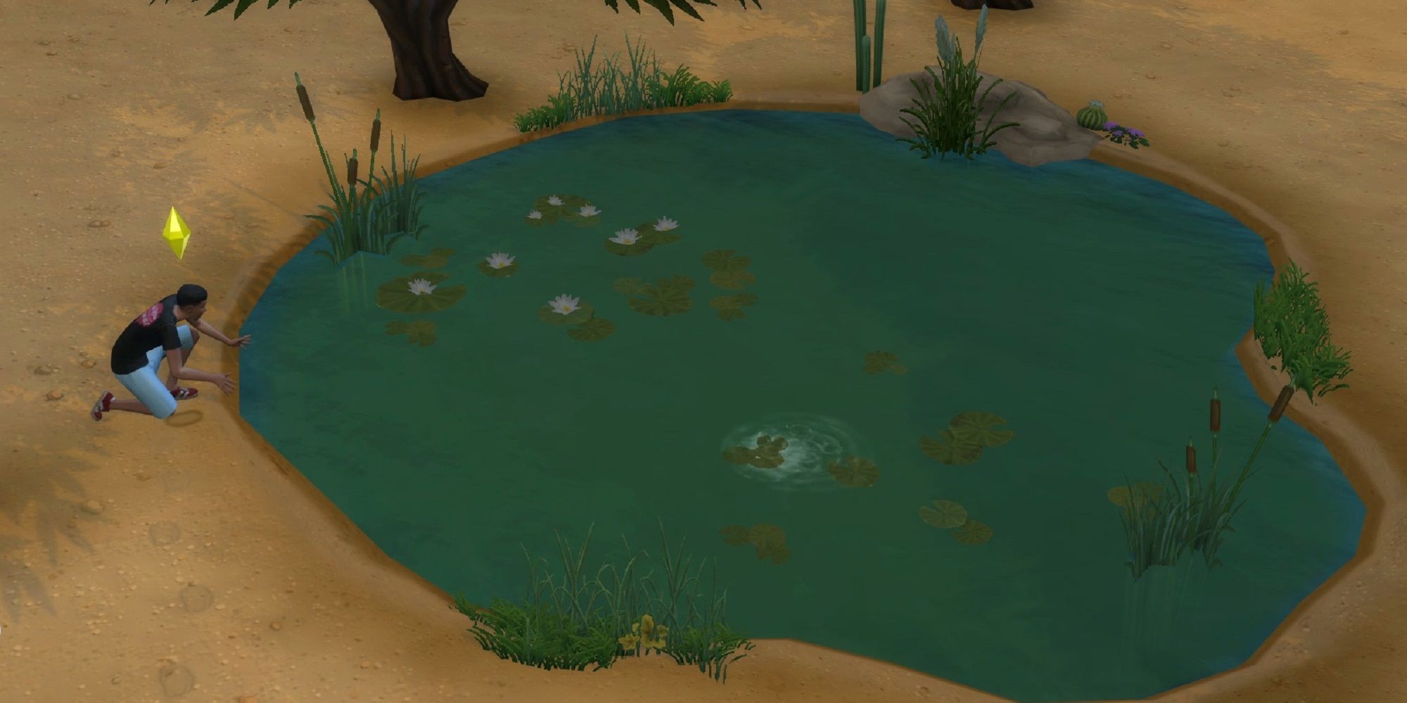 Sims 4 Desert Bloom Park Catching Frogs