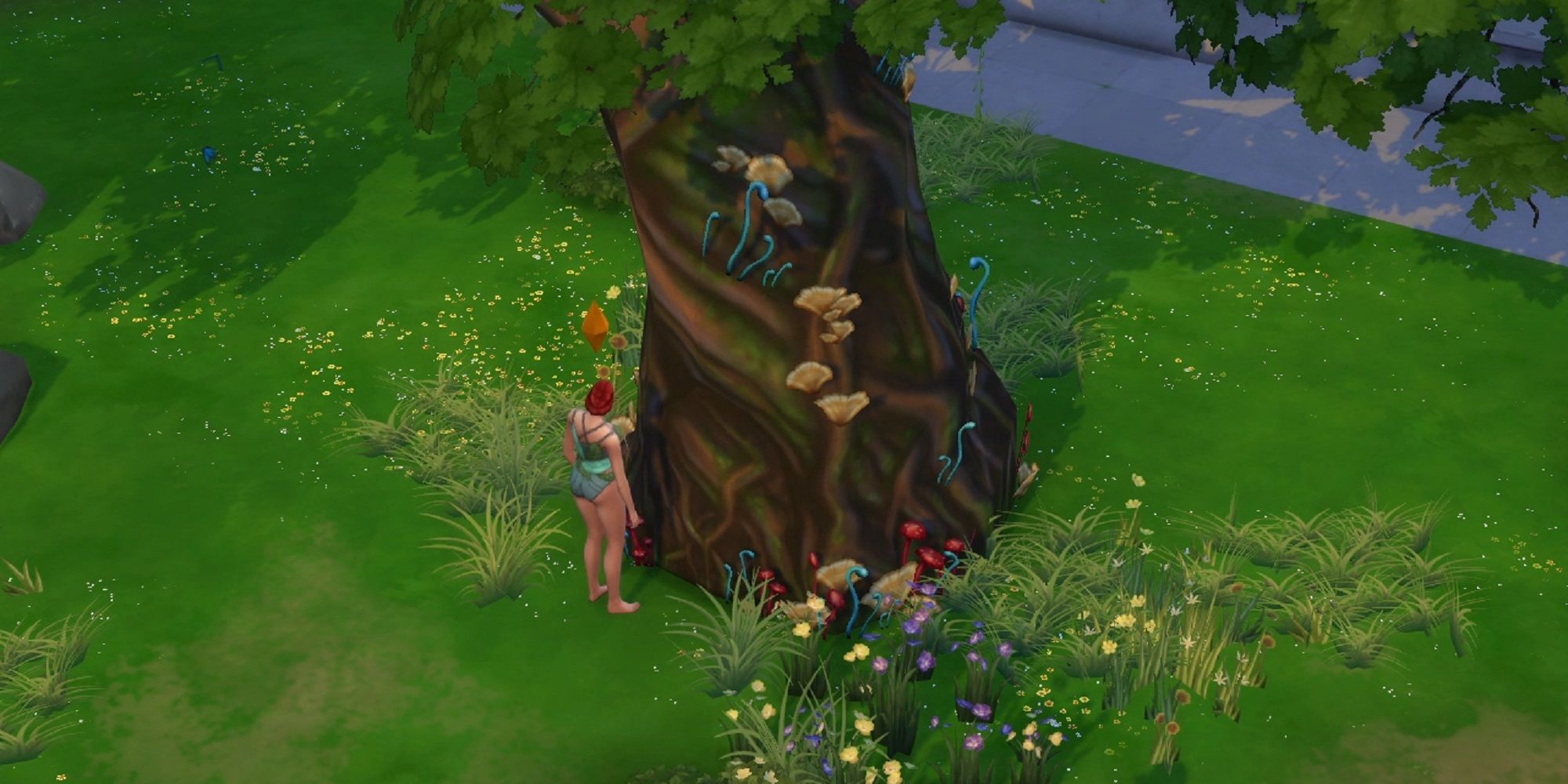 Visualisation des arbres Sims 4 Willow Creek