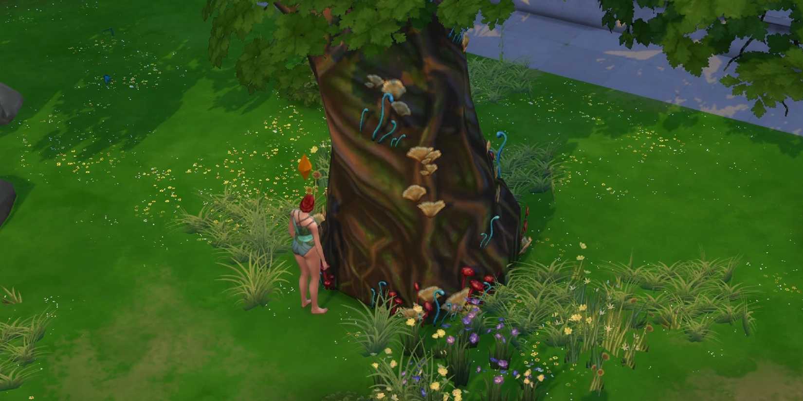Mysterious Tree Location in The Sims 4