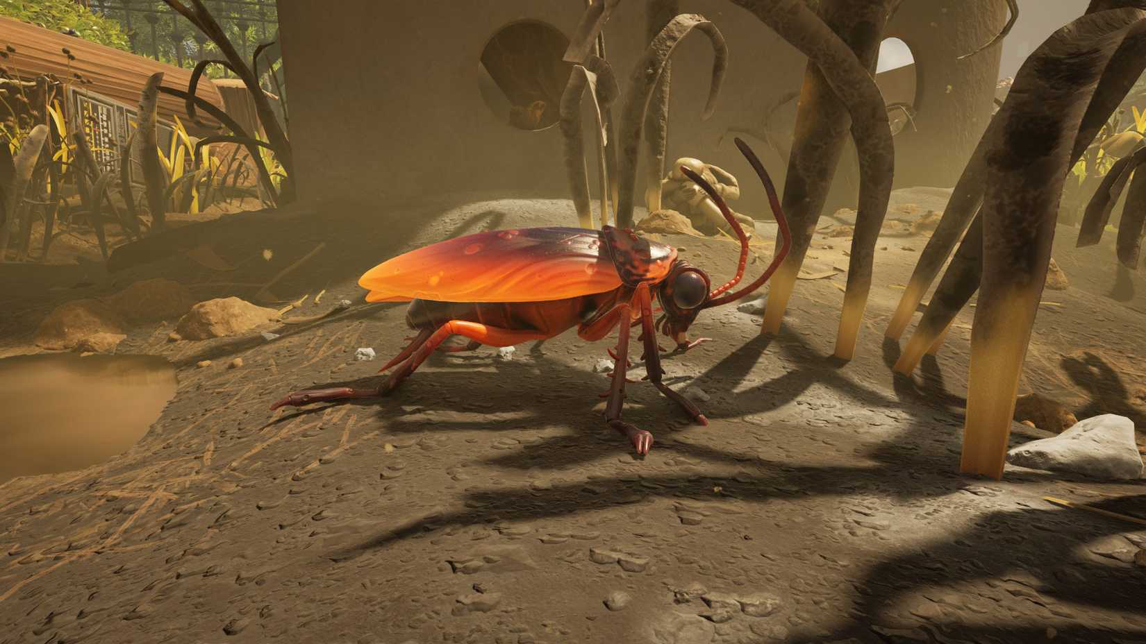 Fire Cockroach How to Find Cockroaches in Grounded 2