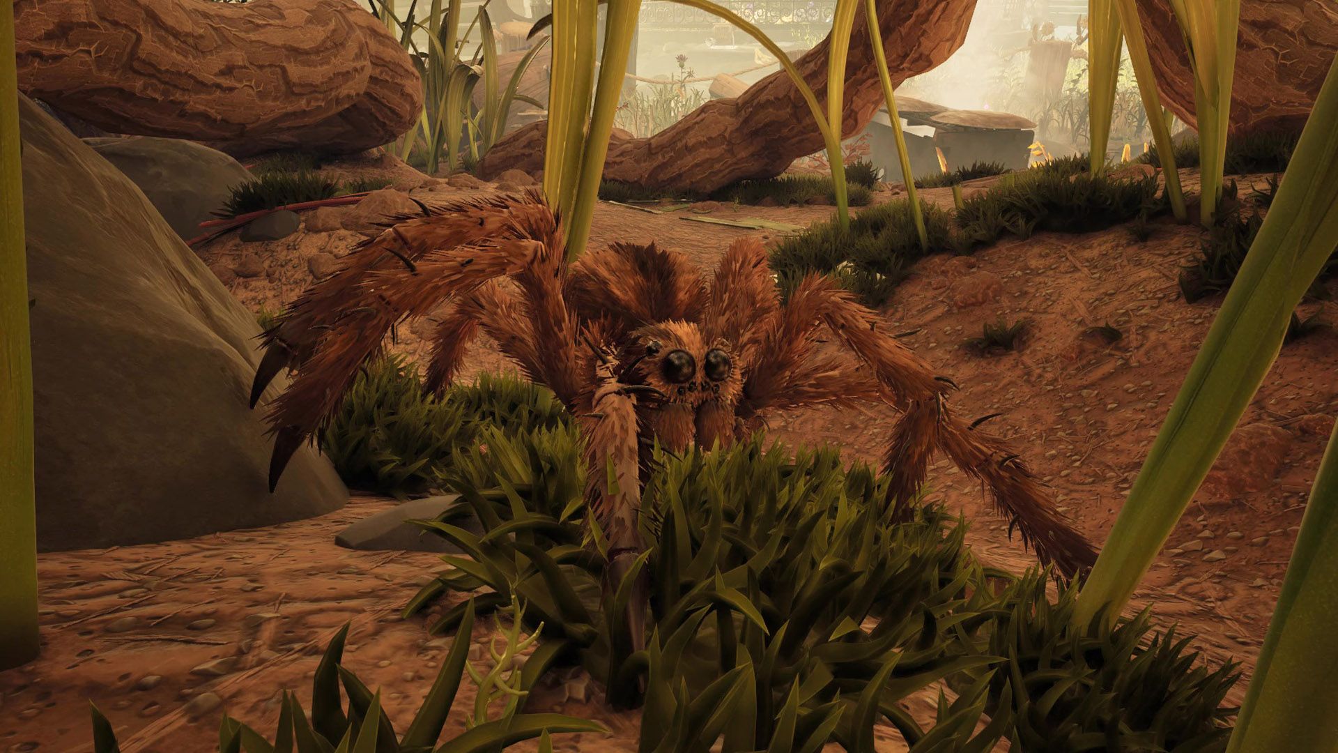 Grounded 2 Wolf Spider Grass Patrol