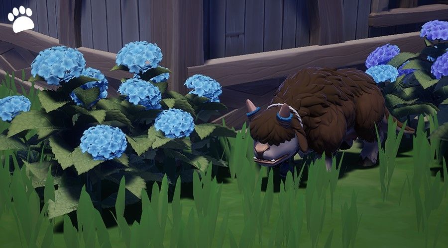 Palia Expands Fall Fantasy Content with New Home for the Harvest Update