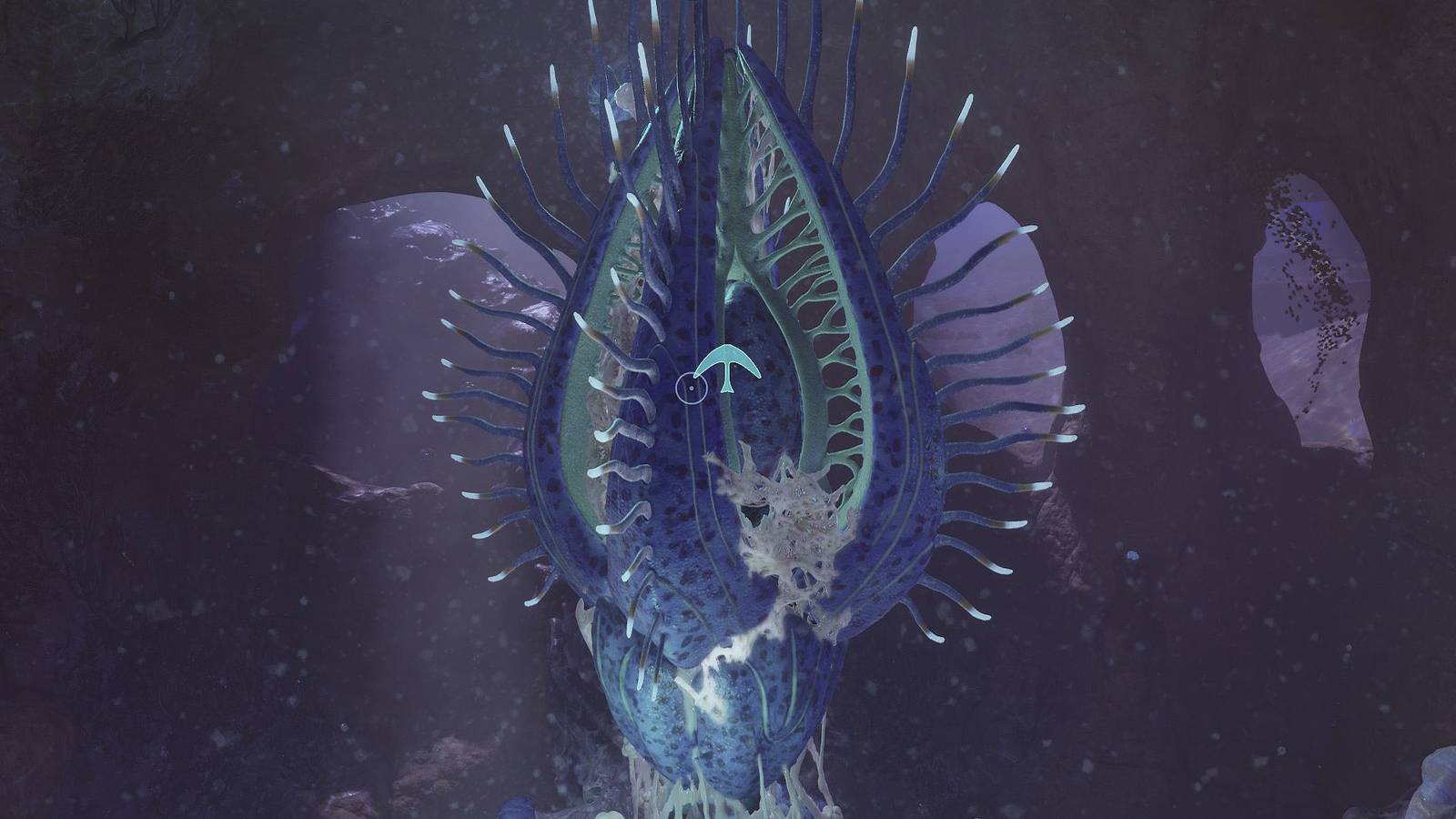 How to Solve the First Angel Comb Puzzle in Subnautica 2