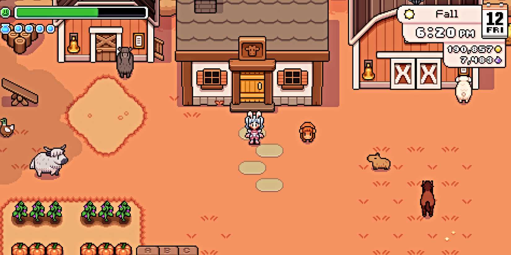 fields-of-mistria-hayden-shop-outside