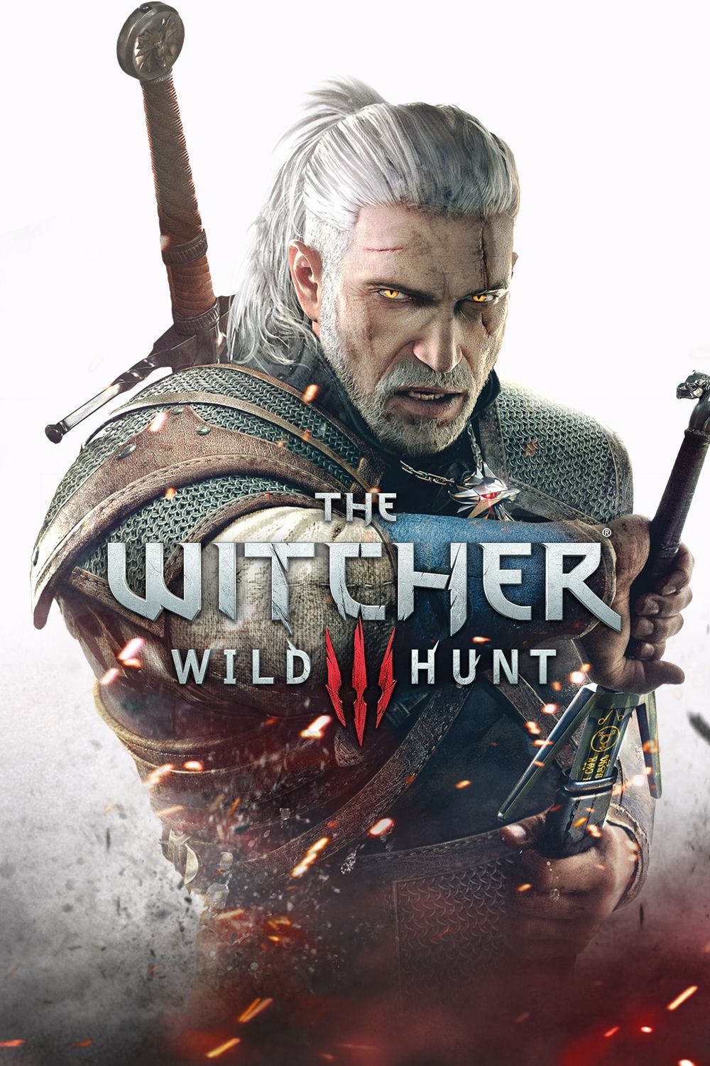 Biggest Plot Holes in The Witcher 3 Wild Hunt