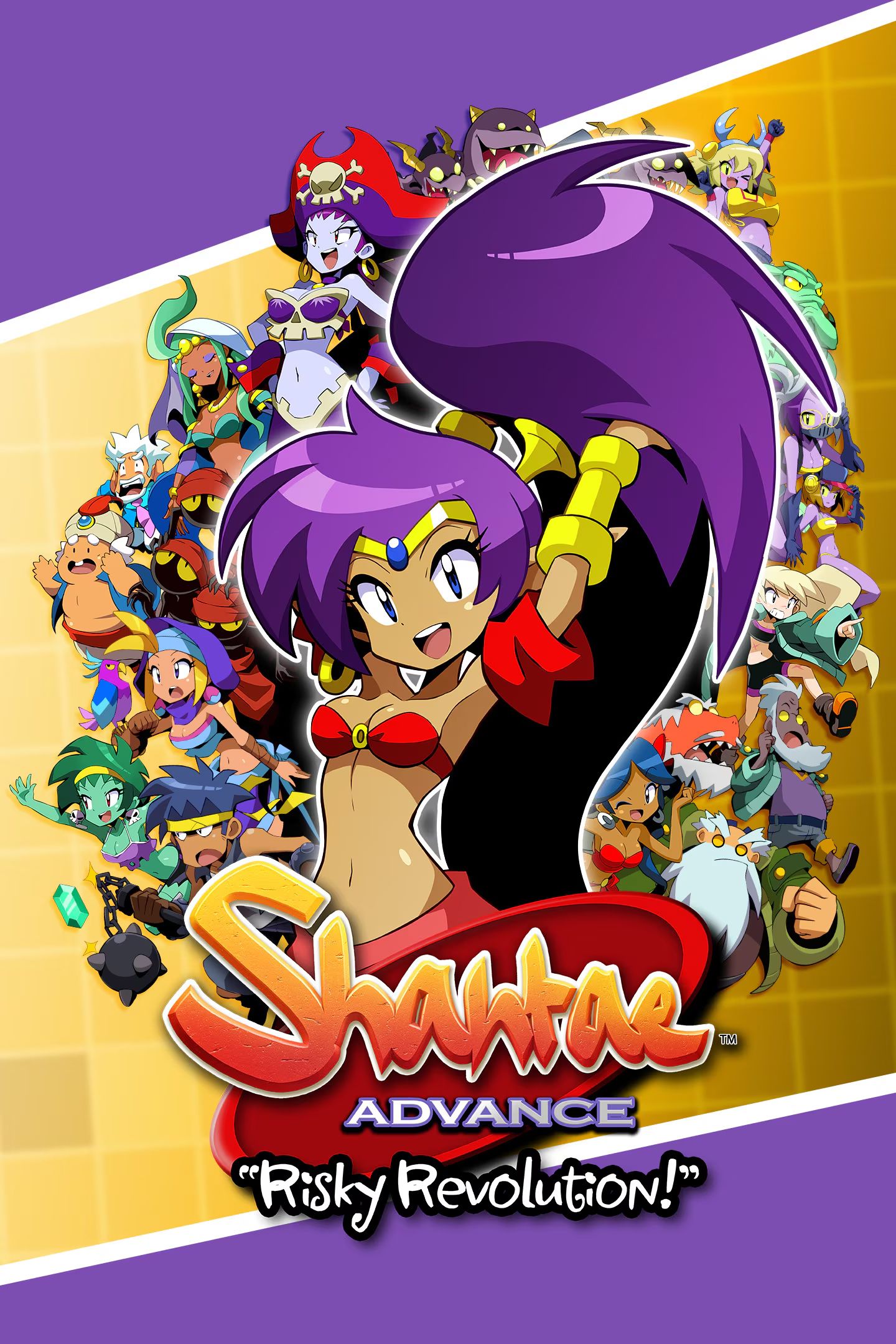 新品・未開封】幻の続編 GBA Shantae Advance: Risky Revolution 